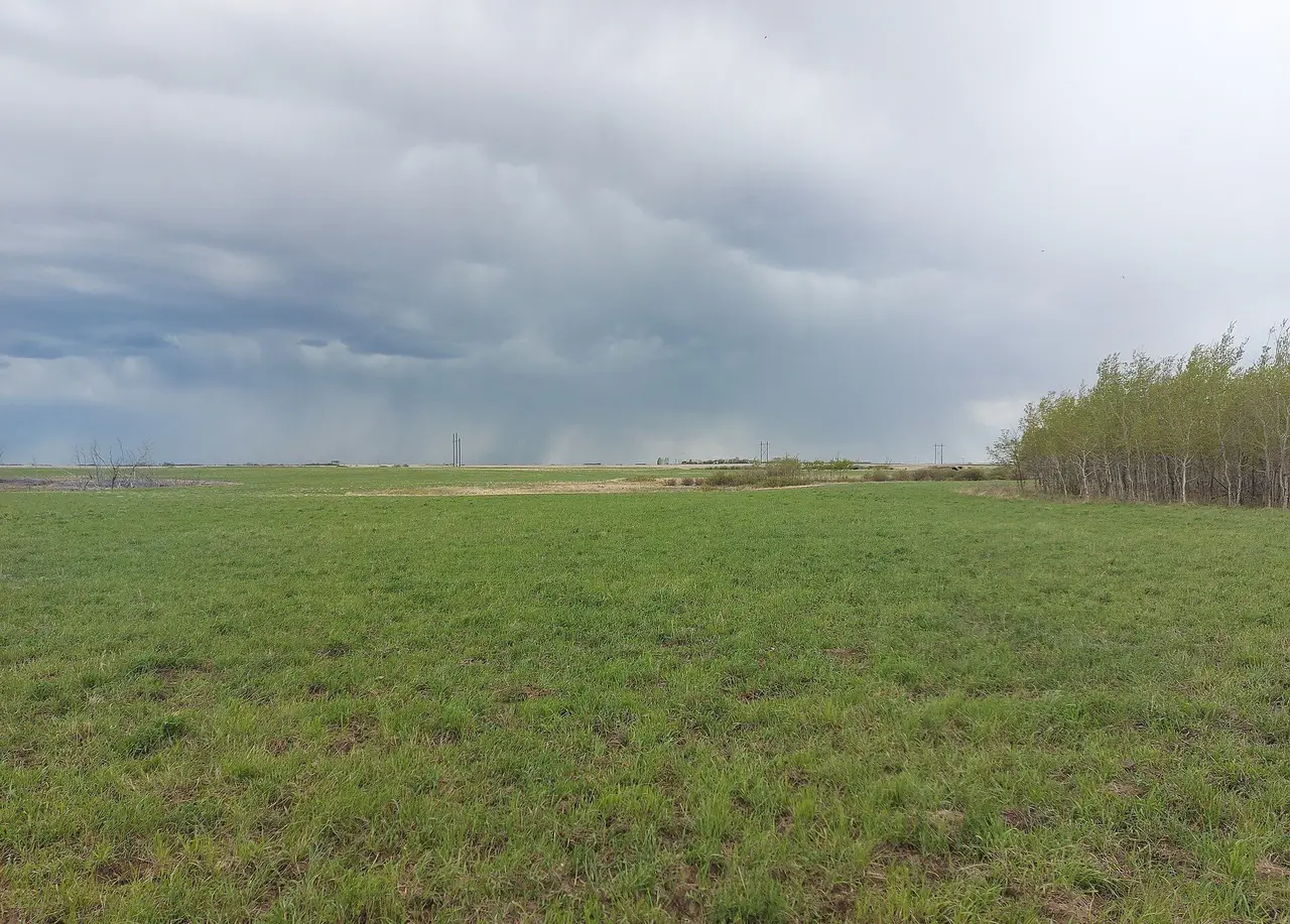 Spring rain over farmland, 2022